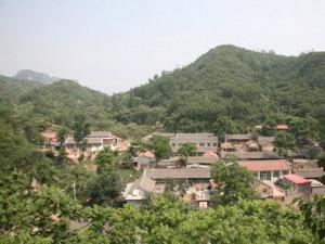 香屯村一角