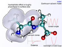 Molecular mechanics potential energy function with continuum solvent.