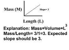 Allometric relations show as straight lines when plotted on double-logarithmic axes