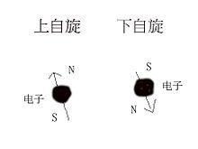 自旋状态