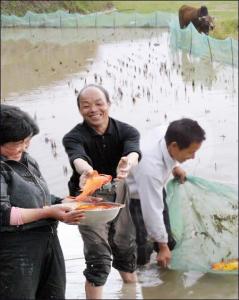 三门镇