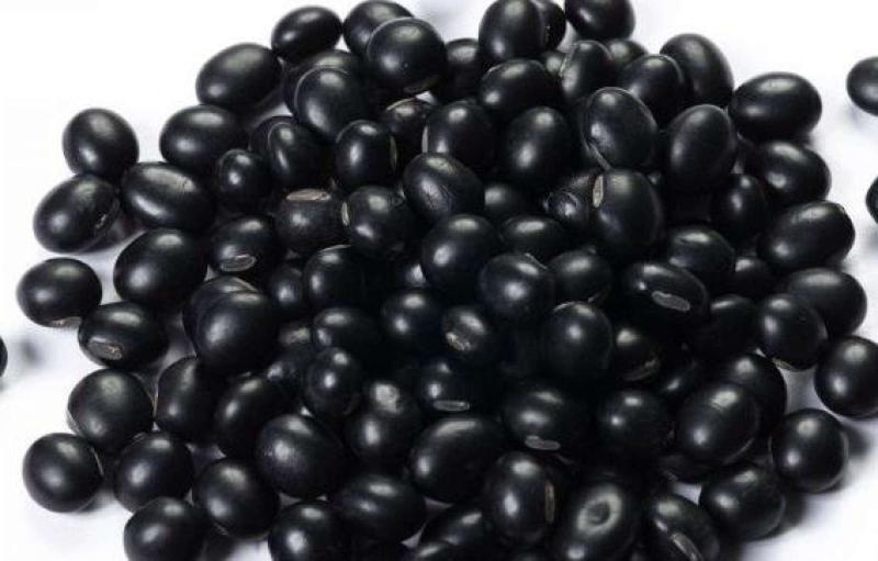 大豆 豆科大豆属植物 搜狗百科