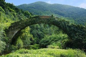 寨口桥