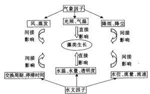 图3 水文气象因子和藻类生长的关系
