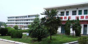 龙岭镇