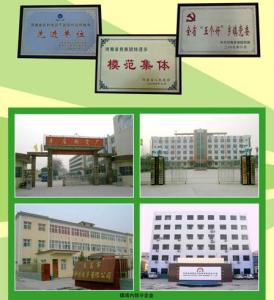 后河镇