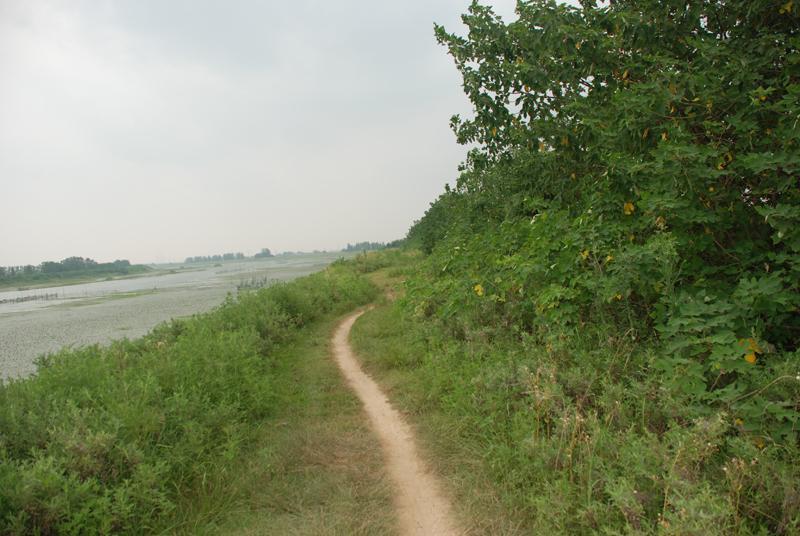 溧水河溧水区段