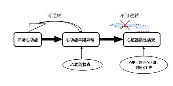 心功能分级