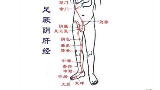 肝经