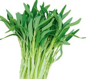 柳叶白梗空心菜