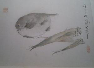 杂画