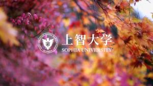 上智大学 搜狗百科