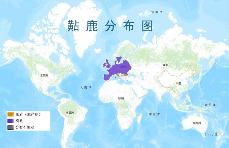 黇鹿分布图