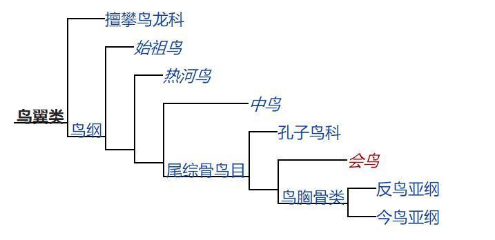 分支图