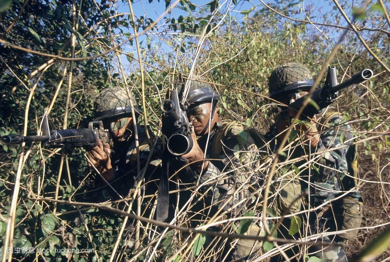 中国人民解放军野战部队(中华人民共和国中国人民解放军野战军)