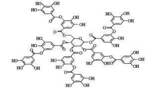 单宁结构之一