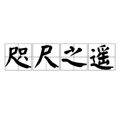 咫尺之遥的魅力——短剧的深度解析