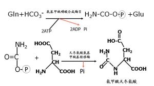 合并图册