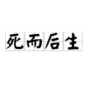 死而后生是一个汉语词汇,意思是比喻事先断绝退路,就能下决心,取得