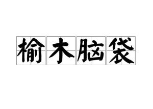 榆木脑袋