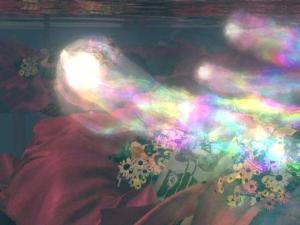 幻光虫