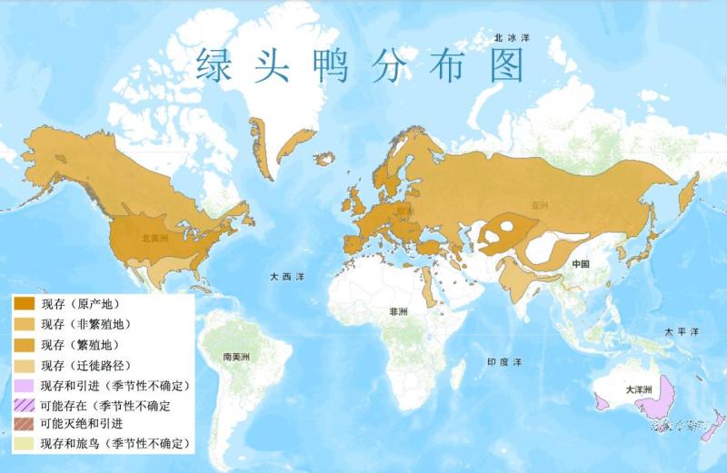 绿头鸭分布图