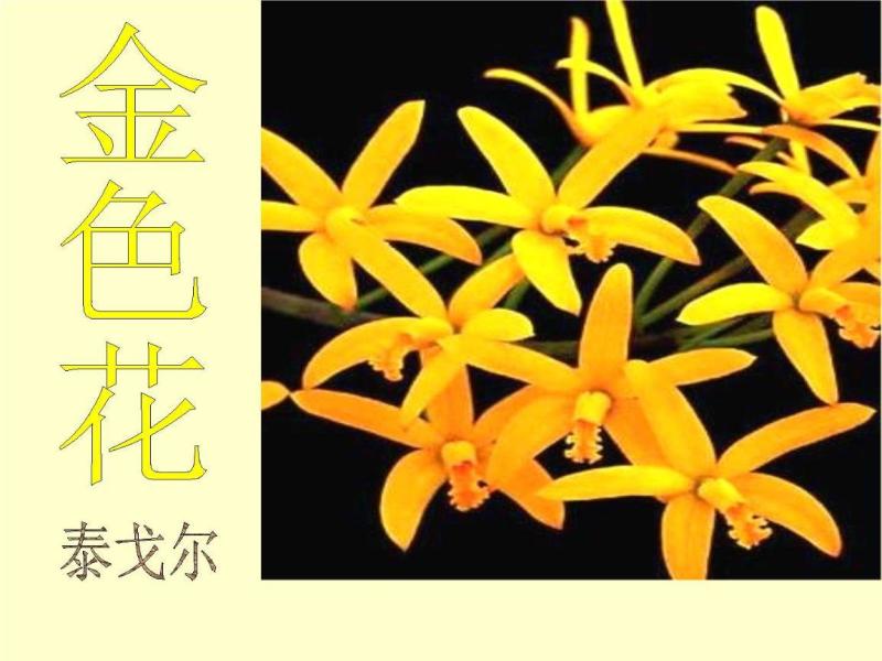 金色花 印度作家泰戈尔创作的散文诗 搜狗百科 金色花 印度作家泰戈尔创作的散文诗 搜狗百科
