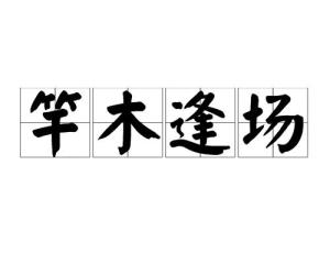 什么竿什么什么成语_路亚竿是什么样子的(3)