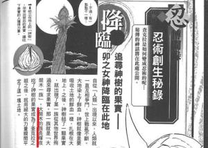 辉夜是大筒木族长 所有ckl都属于她 是不死之身