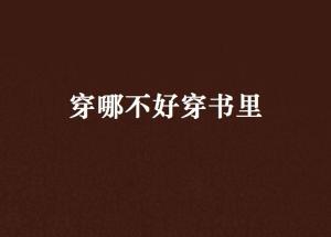 怎么穿越到书里 300