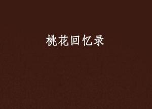 回忆录文案大全 300