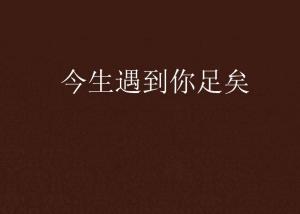 今生今世遇见你的歌词 300