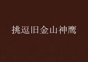 《挑逗旧金山神鹰》是红袖添香网连载的一部作品,作者是苏浣儿_hx3.