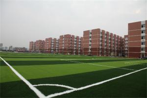 学院图片