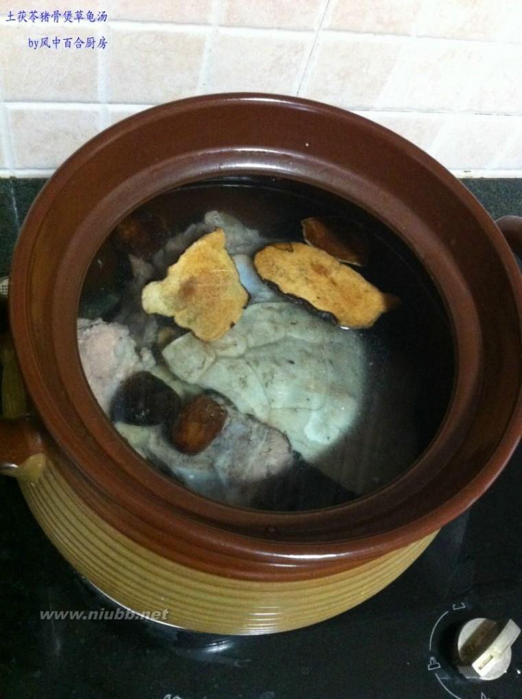 土茯苓煲龟汤图片