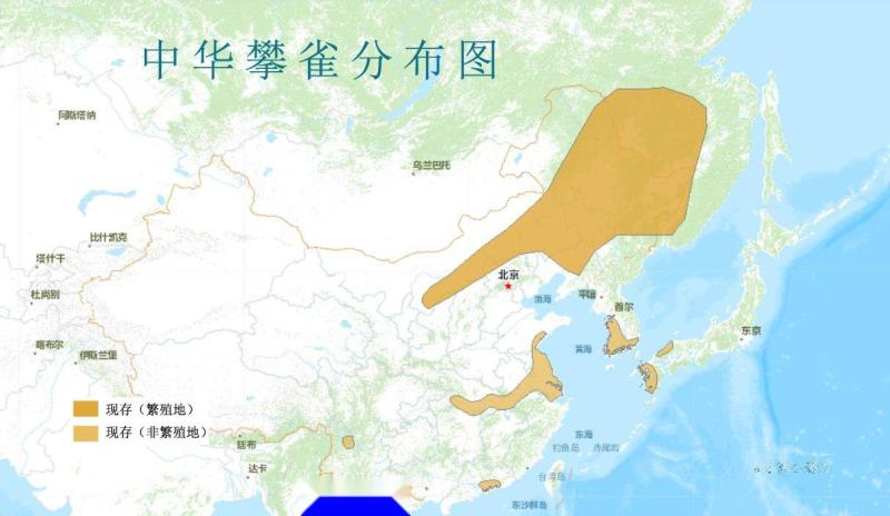 中华攀雀分布图