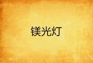 镁光灯 - 搜狗百科