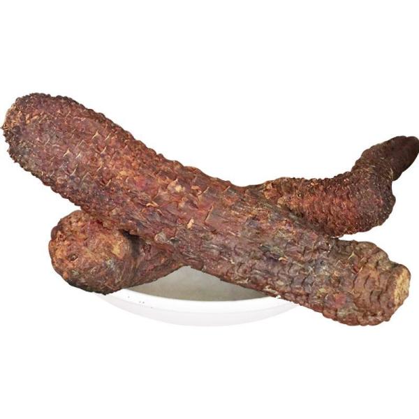 阿拉善肉苁蓉