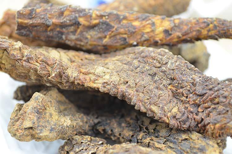 阿拉善肉苁蓉