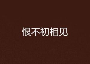 不再见小说免费阅读全文 300