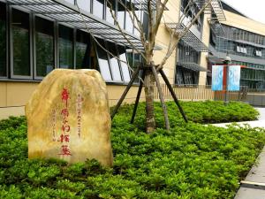 上海戏剧学院舞蹈学院