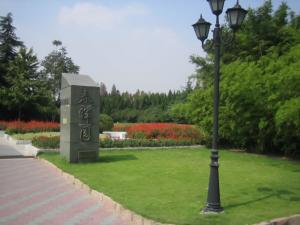 校园风景
