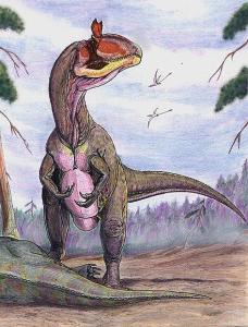 侏罗纪早期编辑1外形特征展开冰脊龙属属兽脚亚目 theropoda亚目双孔