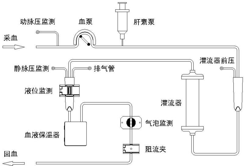 血液灌流示意图