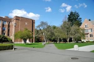 西雅图华盛顿大学美丽校园