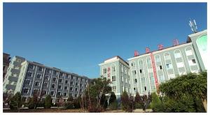 学校社团文化