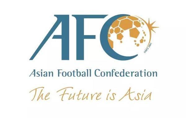 23年中国亚洲杯 第18届亚足联亚洲杯足球赛 搜狗百科