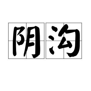 阴沟,汉语词汇,拼音为yīn gōu,指的是古民宅里排水的水沟.