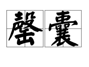 罄囊,读音为qìng náng,汉语词语,意思是竭尽囊中所有.