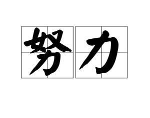 努力 搜狗百科